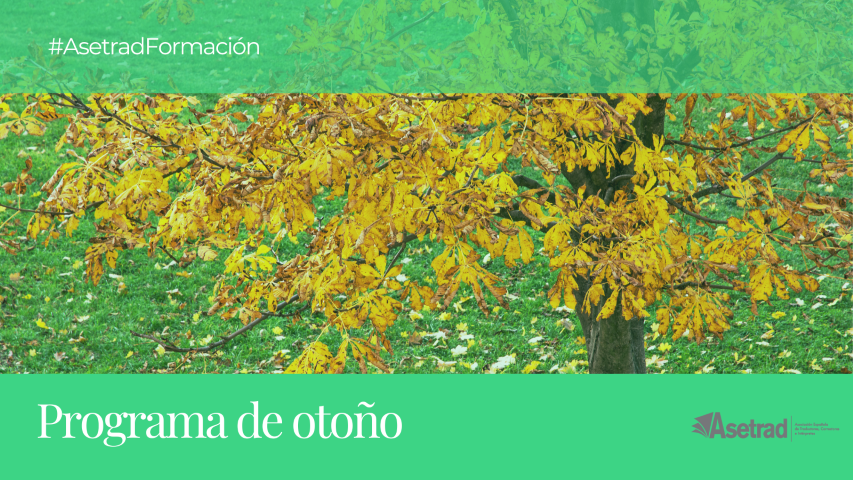 Imagen de la noticia PROGRAMA DE OTOÑO