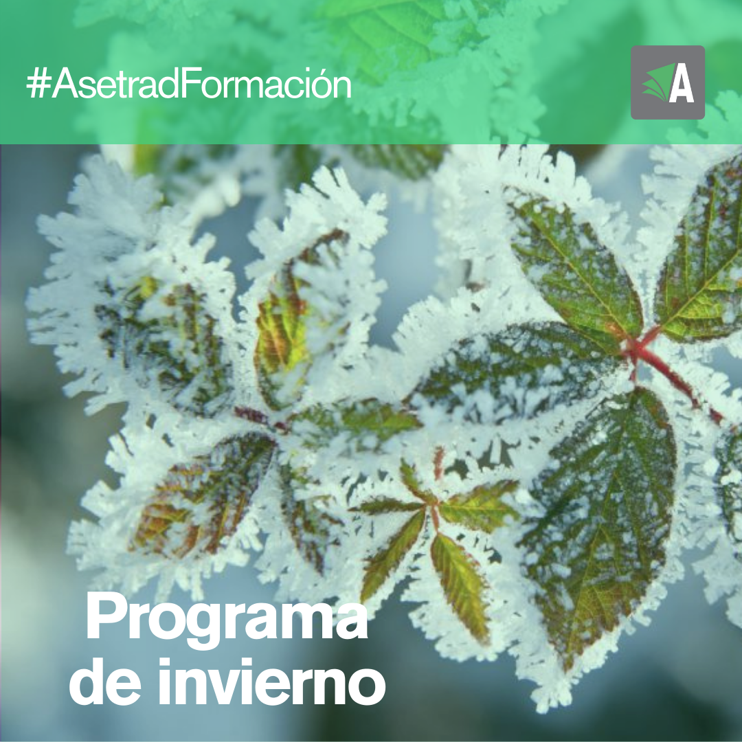 Imagen de la noticia FORMACIÓN INVIERNO 2022