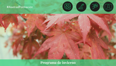 Imagen de la noticia PROGRAMA DE FORMACIÓN DE INVIERNO