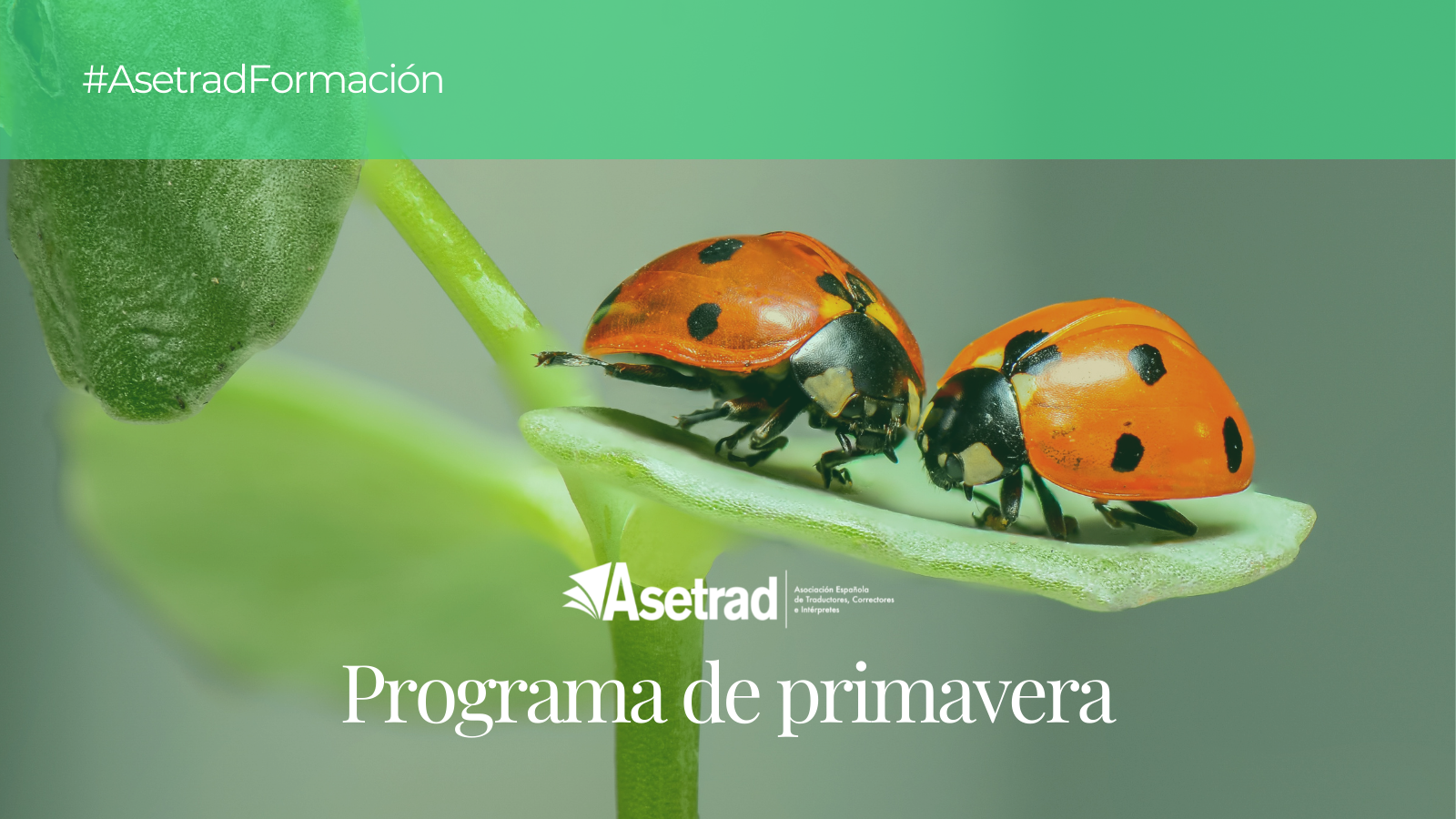 Imagen de la noticia PROGRAMA DE FORMACIÓN DE PRIMAVERA